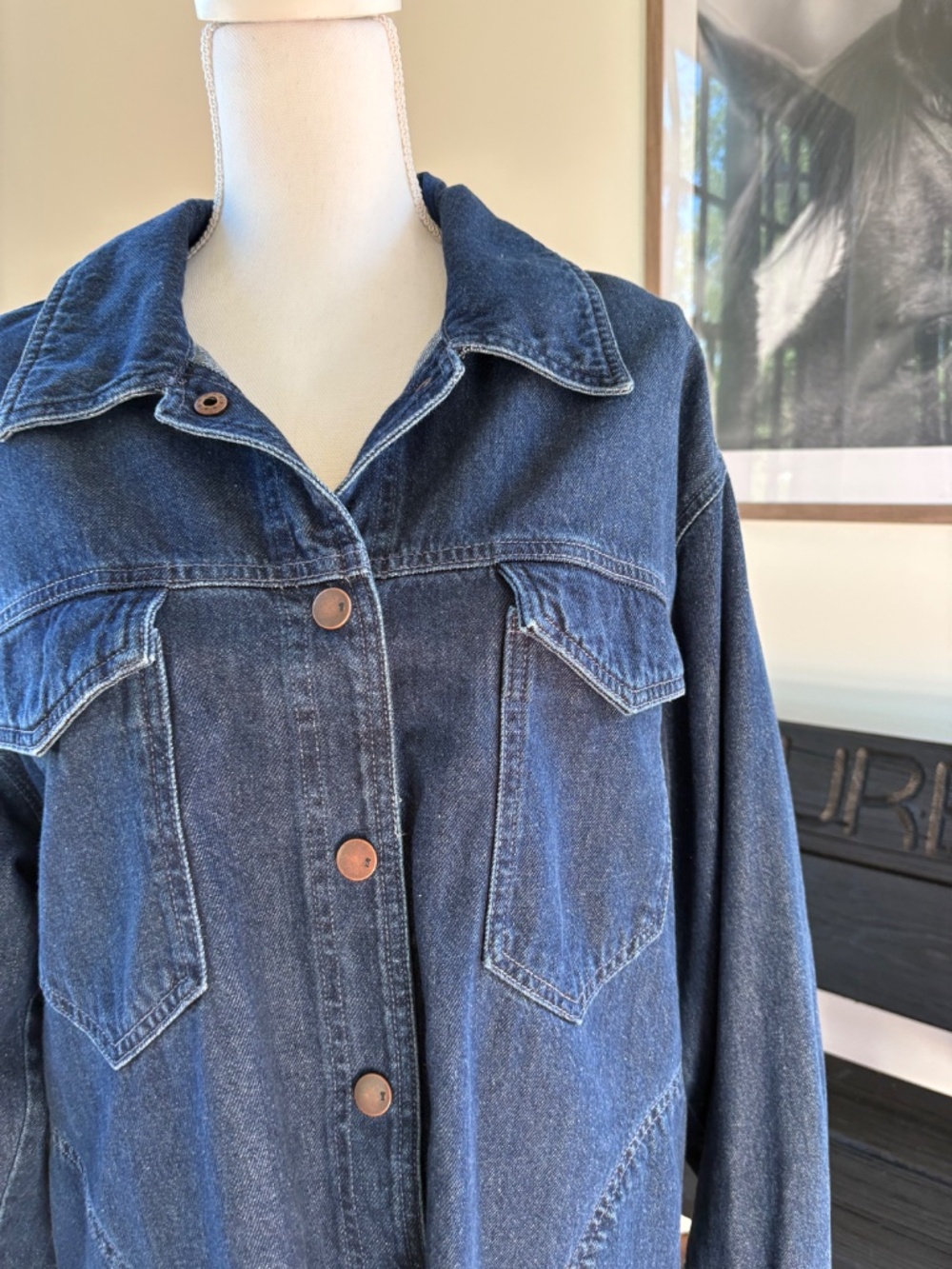 Pilcro Denim Dress - Picture 2 of 7